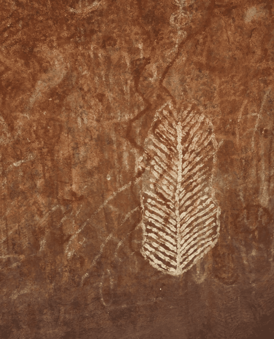 A depiction of a feather in the form of indigenous art on a rock face.